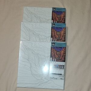 3 Sets Canvas Painting Kit